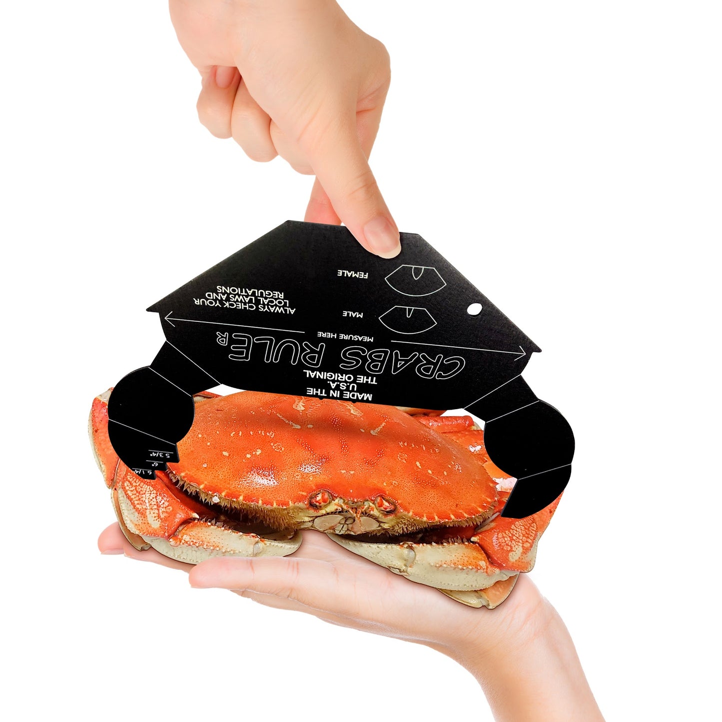 THE COOLEST CRAB GAUGES EVER