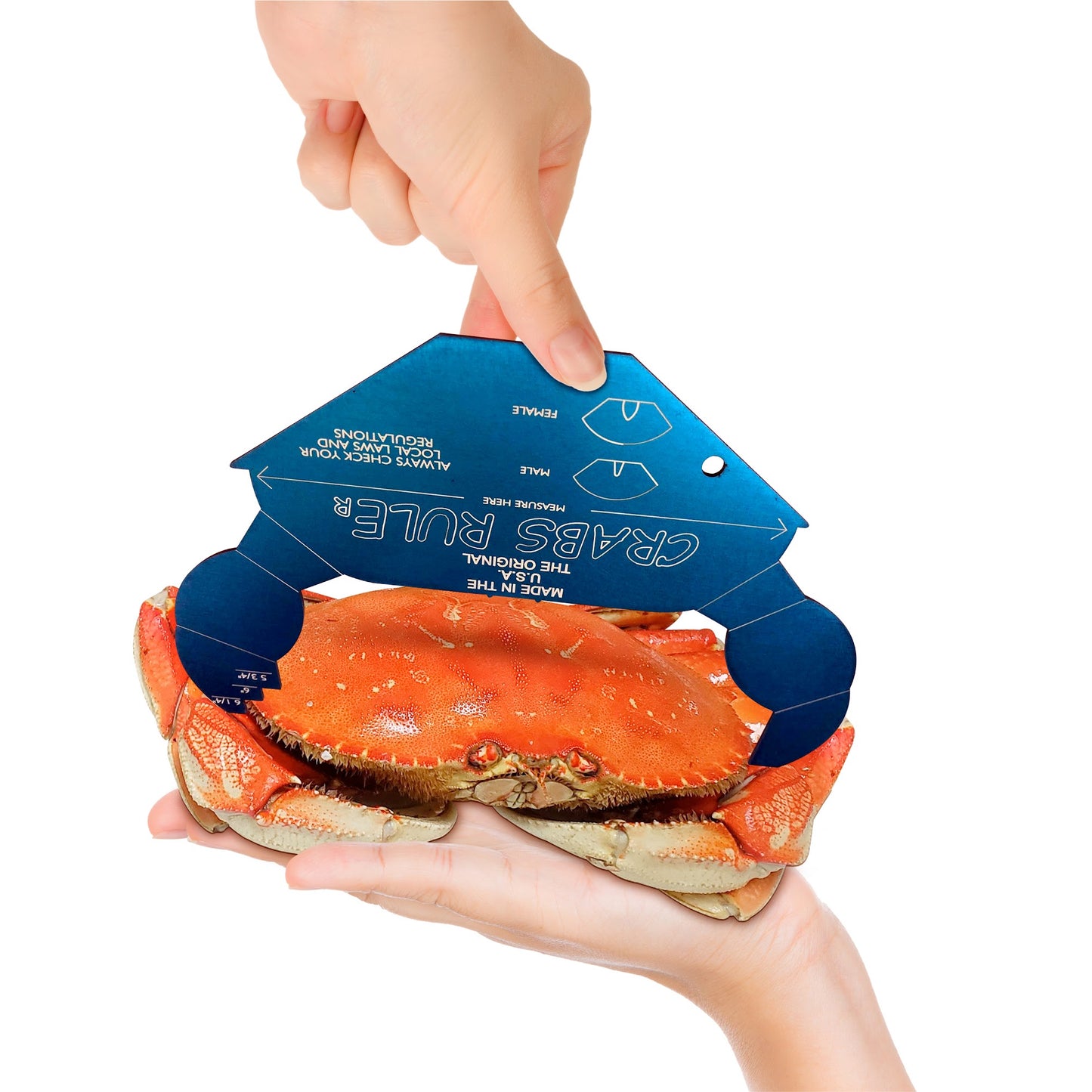 THE COOLEST CRAB GAUGES EVER