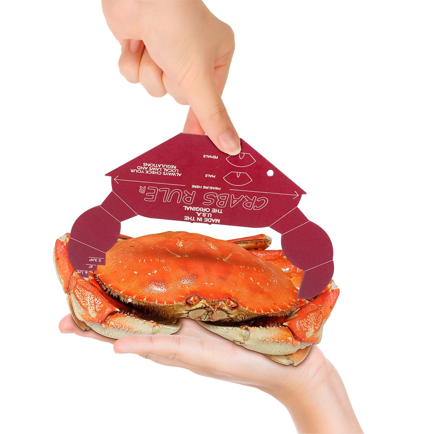 THE COOLEST CRAB GAUGES EVER